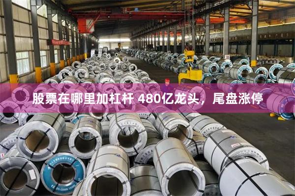 股票在哪里加杠杆 480亿龙头，尾盘涨停