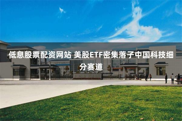低息股票配资网站 美股ETF密集落子中国科技细分赛道
