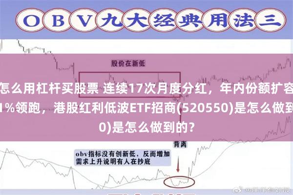 怎么用杠杆买股票 连续17次月度分红,年内份额扩容6.51%领跑,港股红利低波ETF招商(520550)是怎么做到的?