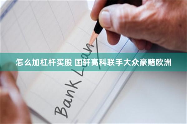 怎么加杠杆买股 国轩高科联手大众豪赌欧洲