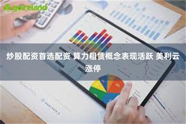 炒股配资首选配资 算力租赁概念表现活跃 美利云涨停