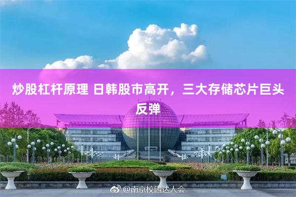 炒股杠杆原理 日韩股市高开，三大存储芯片巨头反弹