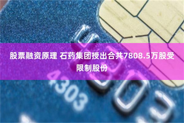 股票融资原理 石药集团授出合共7808.5万股受限制股份