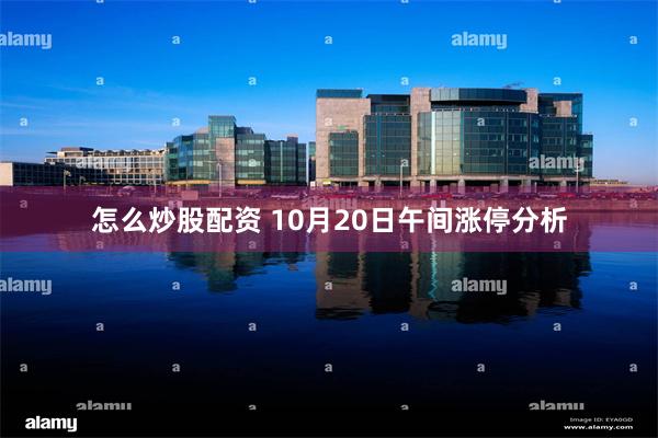 怎么炒股配资 10月20日午间涨停分析
