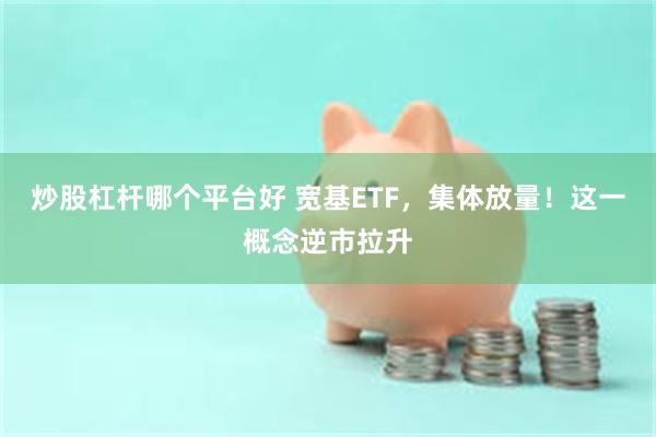 炒股杠杆哪个平台好 宽基ETF，集体放量！这一概念逆市拉升