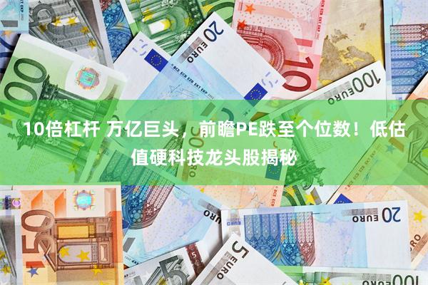 10倍杠杆 万亿巨头，前瞻PE跌至个位数！低估值硬科技龙头股揭秘